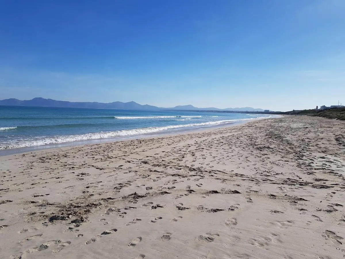 Ideal Property Mallorca - Blue Sky Alcudia  Apartment Alcudia (Mallorca)