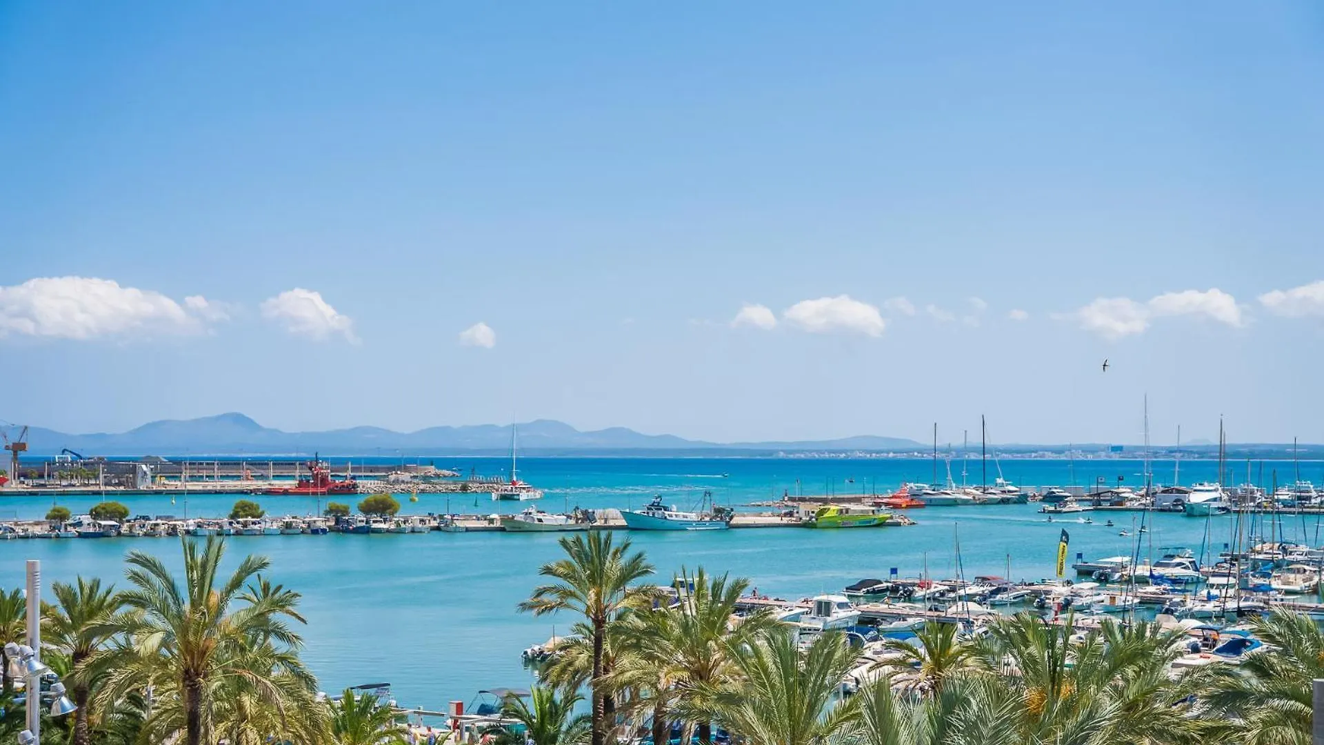 Ideal Property Mallorca - Blue Sky Alcudia  Spain